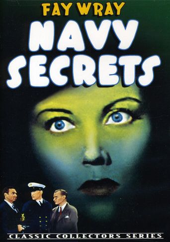  Navy Secrets Poster