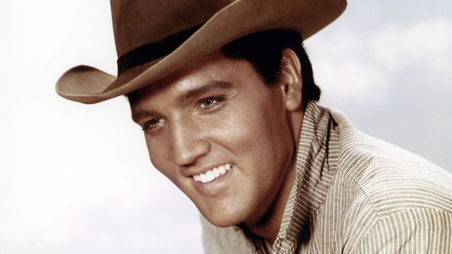 Love Me Tender Backdrop