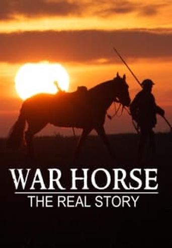  War Horse The Real Story Poster