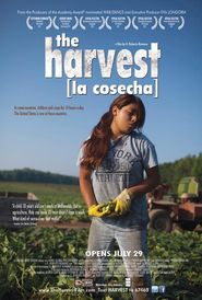  The Harvest/La Cosecha Poster