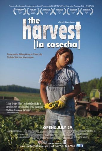  The Harvest (La Cosecha) Poster
