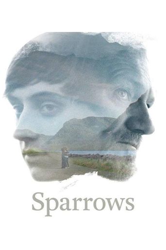  Sparrows Poster