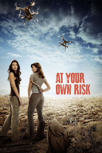  At Your Own Risk Poster