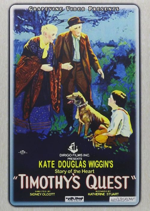 Timothy's Quest Poster