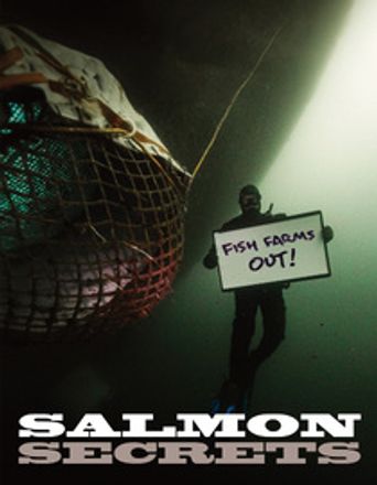 Salmon Secrets 2024 Where To Watch And Stream Online Reelgood