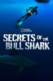  Secrets of the Bull Shark Poster
