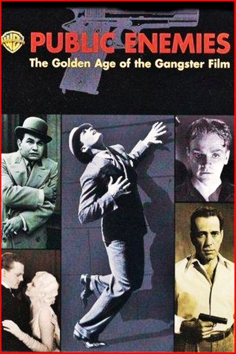  Public Enemies: The Golden Age of the Gangster Film Poster