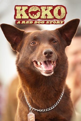  Koko: A Red Dog Story Poster