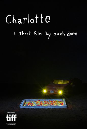  Charlotte Poster