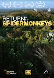  Return of the Spider Monkeys Poster