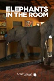  Elephants in the Room Poster