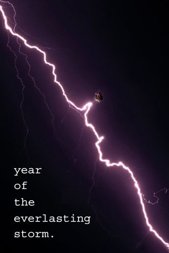  The Year of the Everlasting Storm Poster