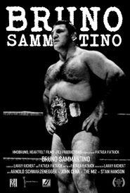  Bruno Sammartino Poster