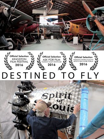  Destined to Fly Poster