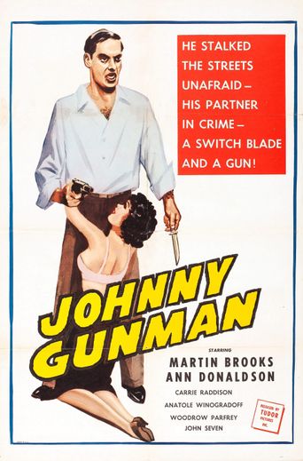  Johnny Gunman Poster