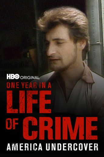  One Year in a Life of Crime Poster