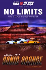  No Limits: The Camilo Series Ford GTs Poster