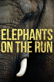  Elephants on the Run Poster