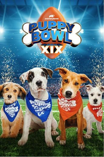  Puppy Bowl XIX Poster
