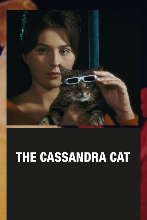 When the Cat Comes Poster