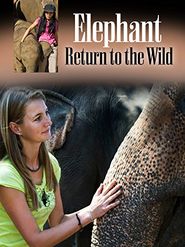  Elephant, Return to the Wild Poster
