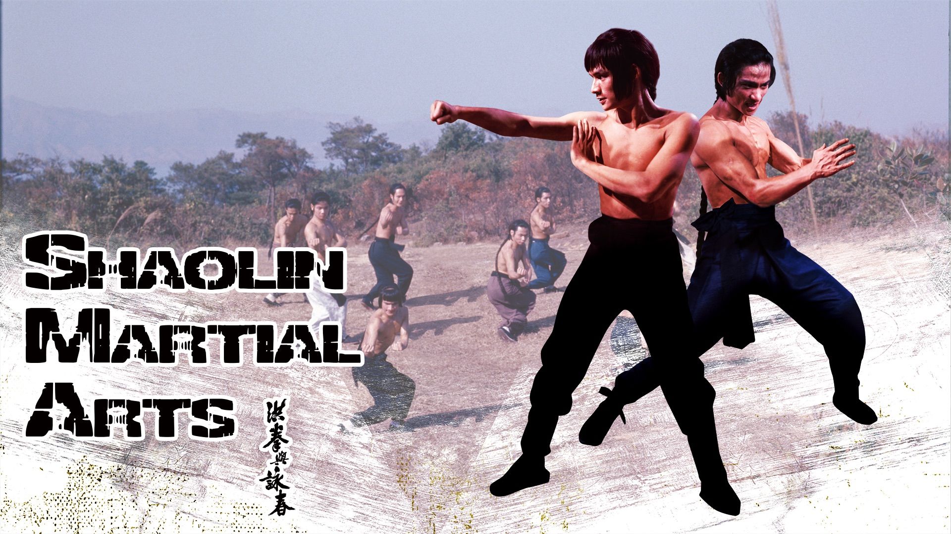 Shaolin Martial Arts Backdrop
