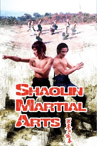  Shaolin Martial Arts Poster
