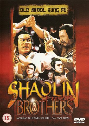  The Shaolin Brothers Poster