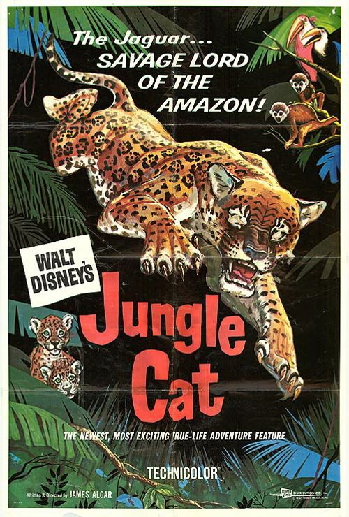 Jungle Cat Poster