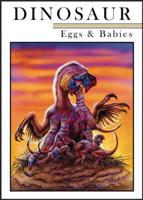 Dinosaur Eggs and Babies Poster