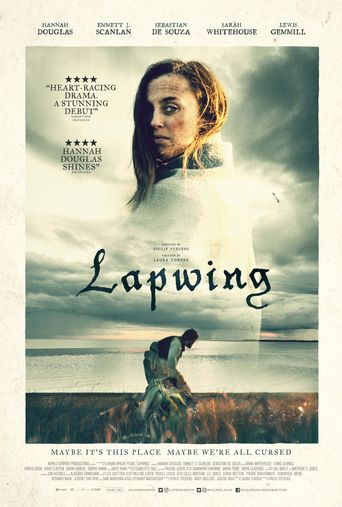  Lapwing Poster