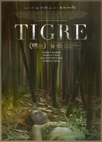  Tigre Poster