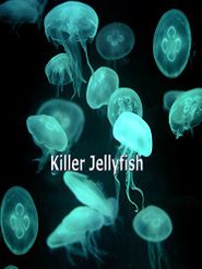  Killer Jellyfish Poster