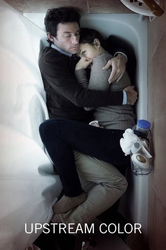  Upstream Color Poster