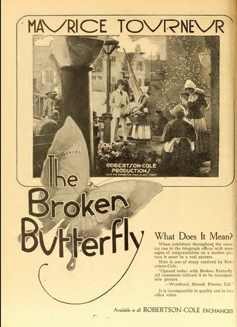  The Broken Butterfly Poster
