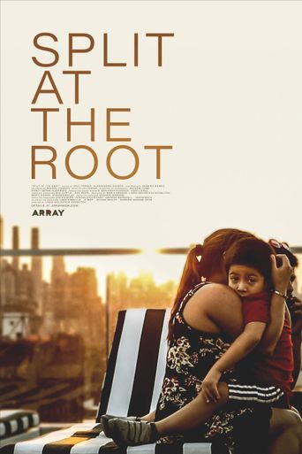 Split at the Root poster