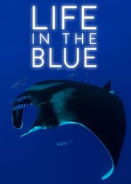  Life in the Blue Poster