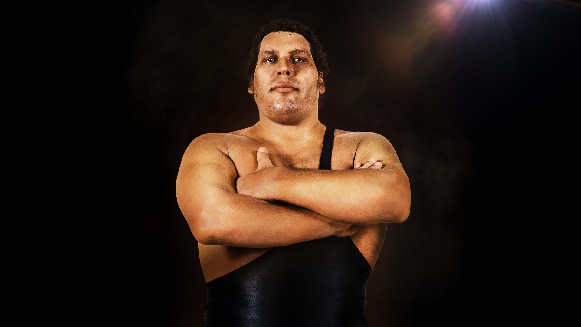 Andre the Giant Backdrop