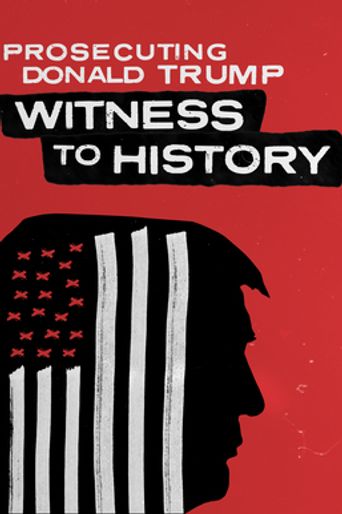 Prosecuting Donald Trump Witness To History (2024): Where To Watch And ...