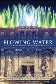  Flowing Water Poster