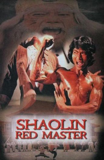  Shaolin Tough Kid Poster