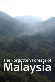  Forgotten Forests of Malaysia Poster