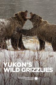 Yukon's Wild Grizzlies Poster