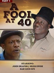 A Fool at 40 Poster