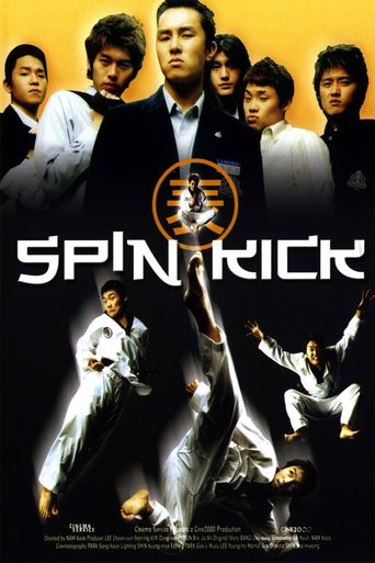  Spin Kick Poster