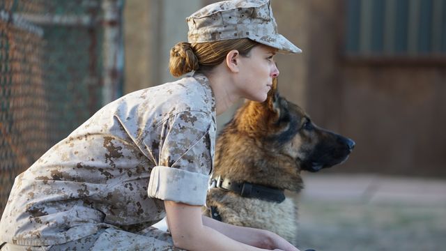 Megan Leavey Backdrop