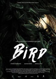  Bird Poster