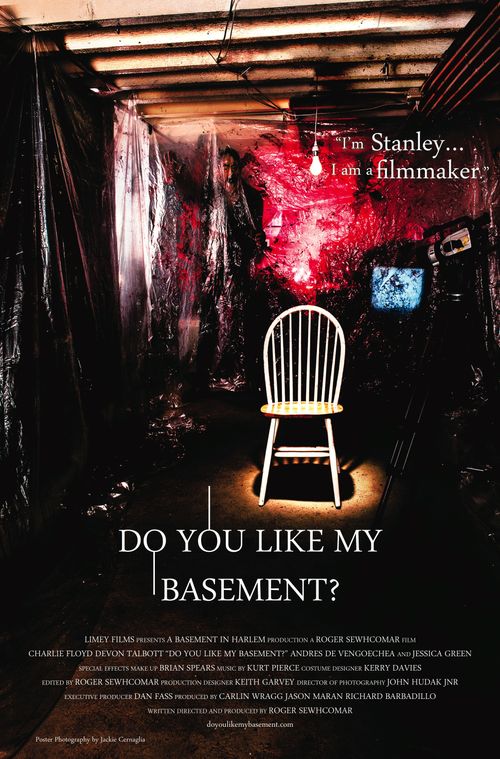 Do You Like My Basement? Poster
