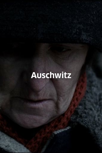  Auschwitz Poster