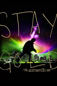  The Emerica Video - Stay Gold Poster